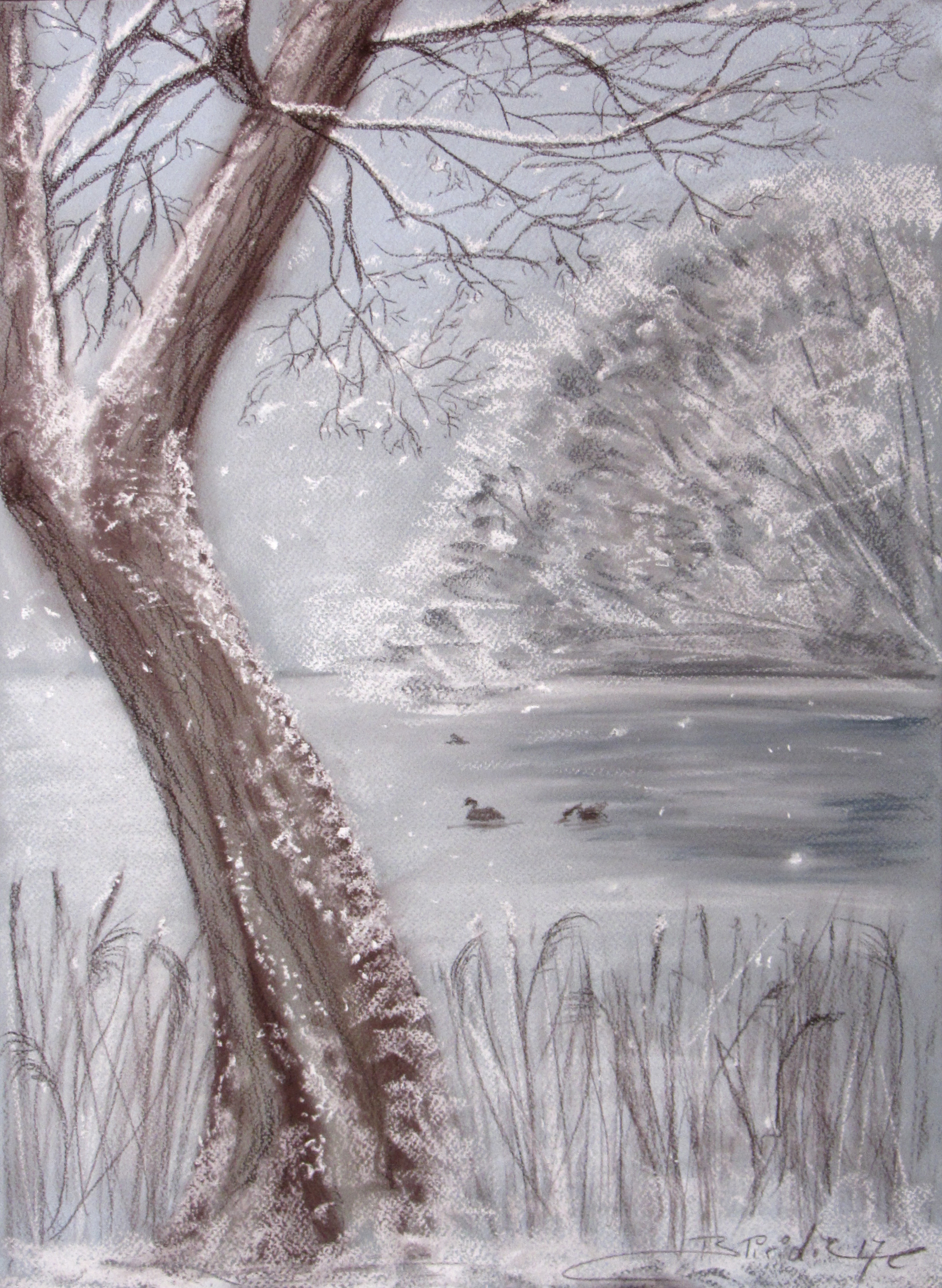 LAC AVEC DES CANARDS