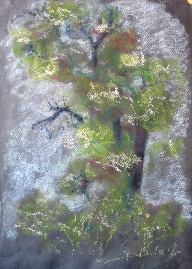 ARBRE #03