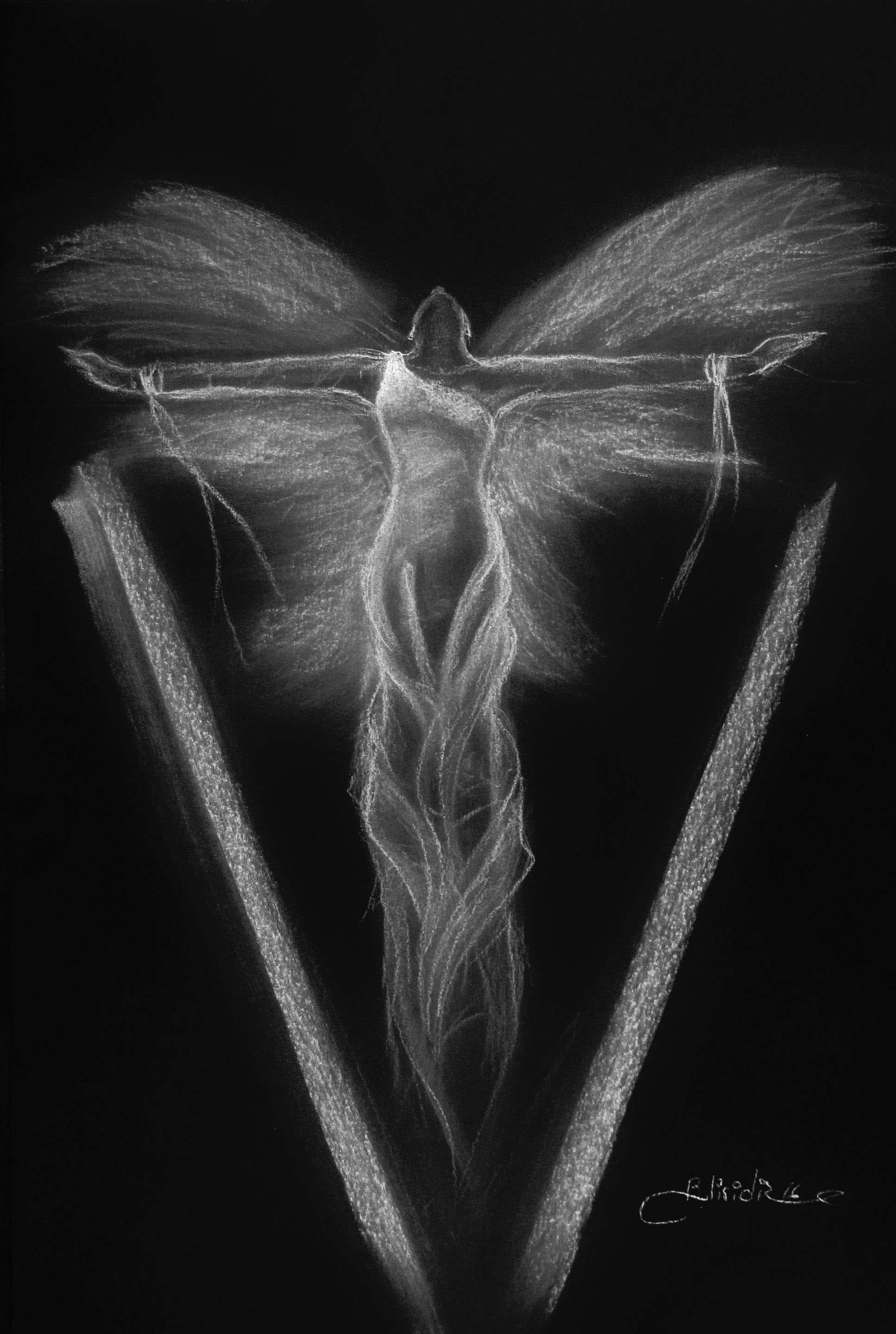 Phénix | φοῖνιξ