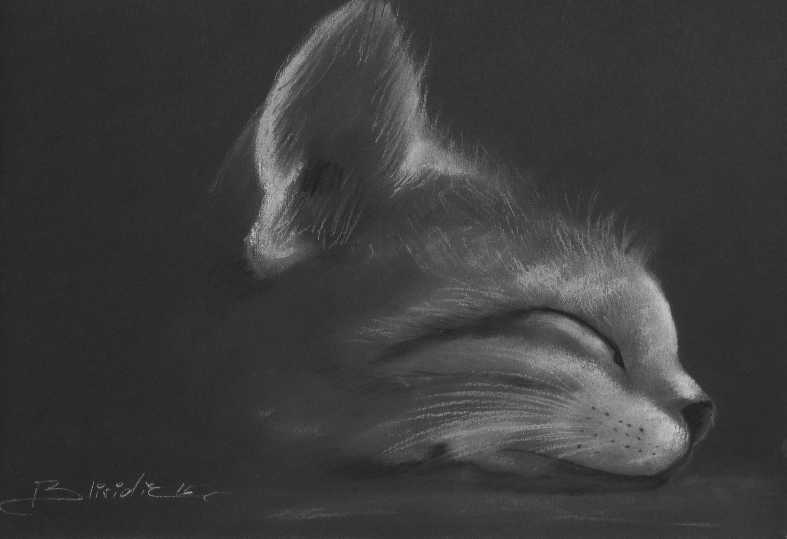 CHAT