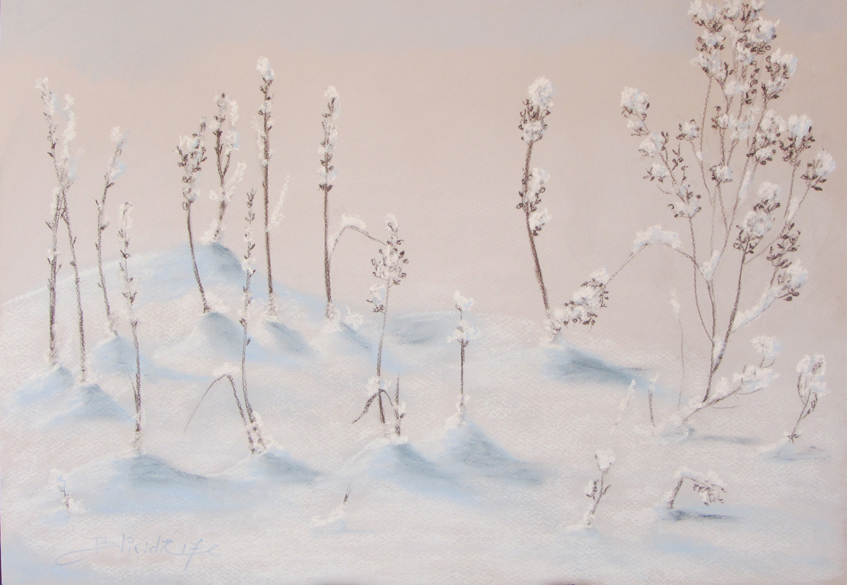 L’HERBE D’HIVER