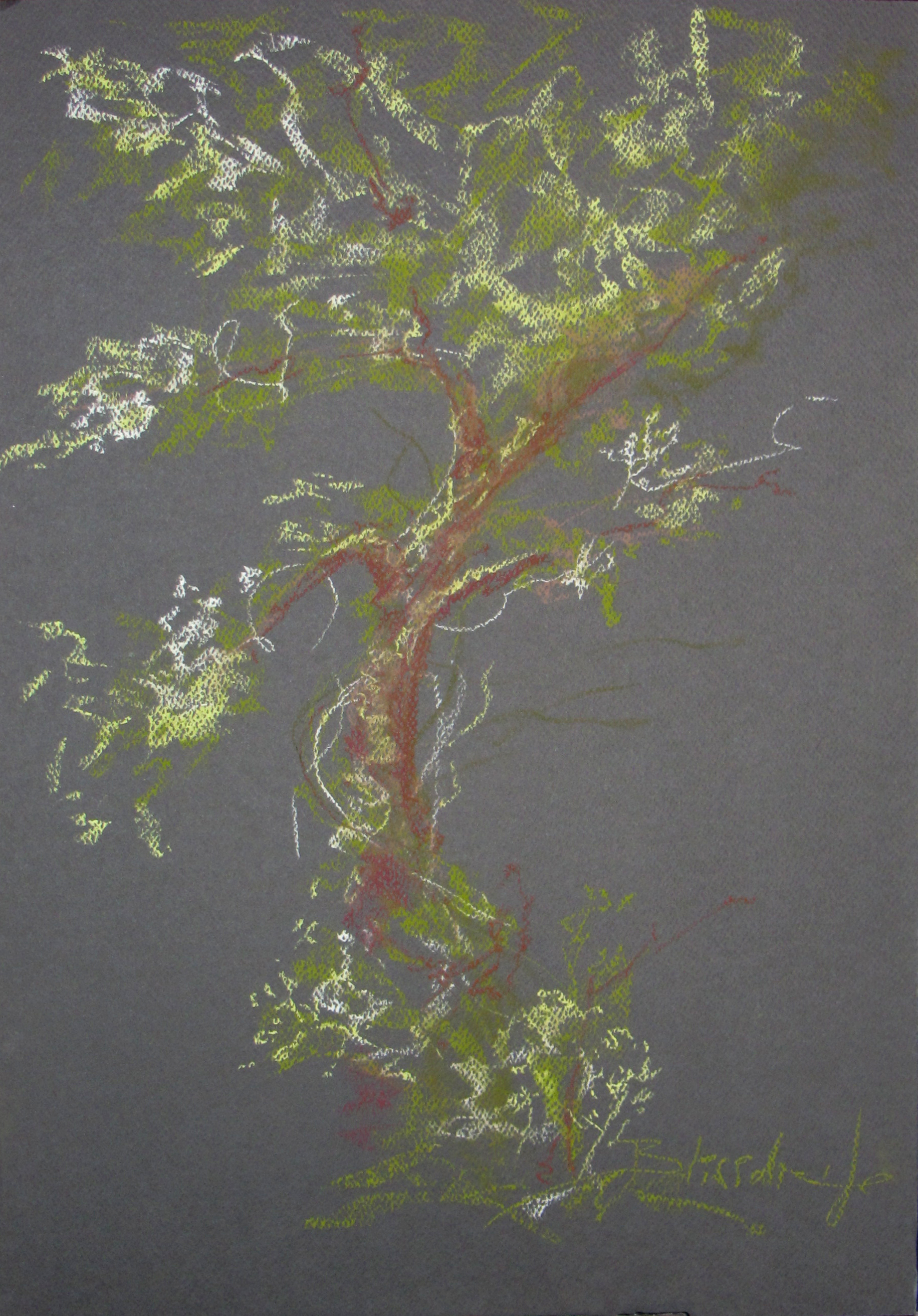 ARBRE #01