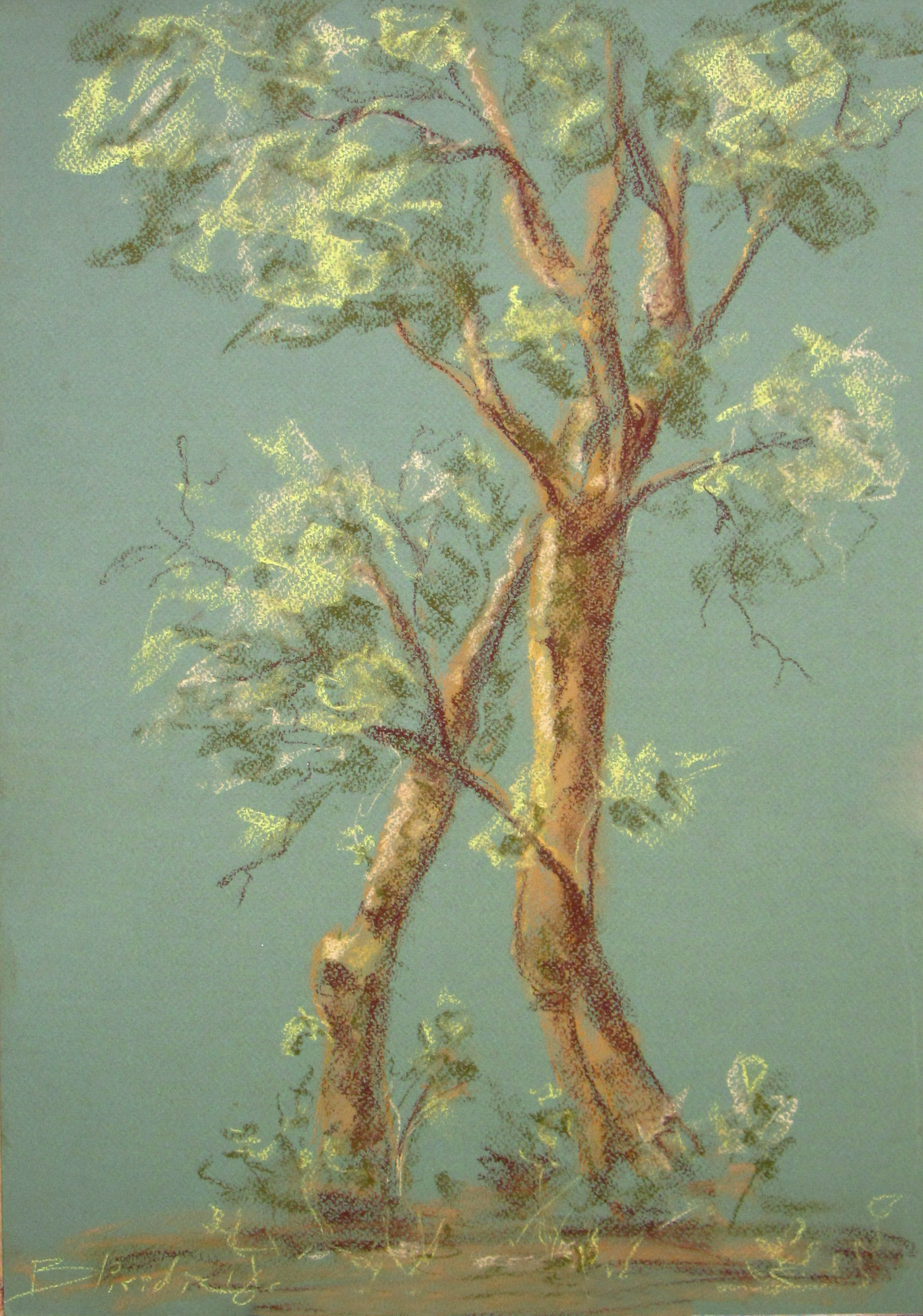 ARBRE #02