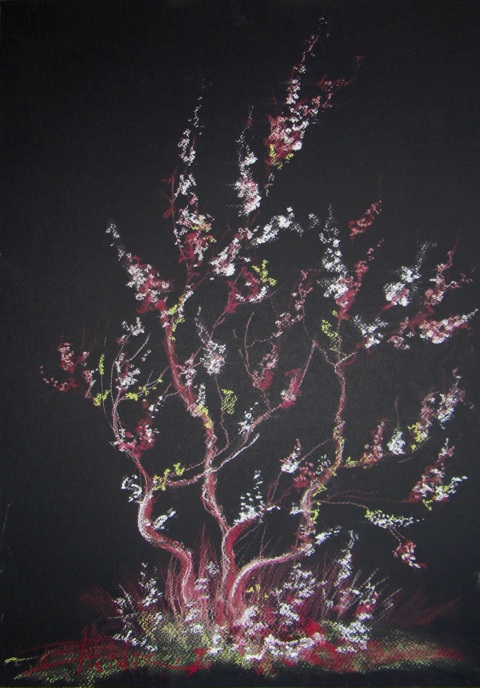 ARBRE #04