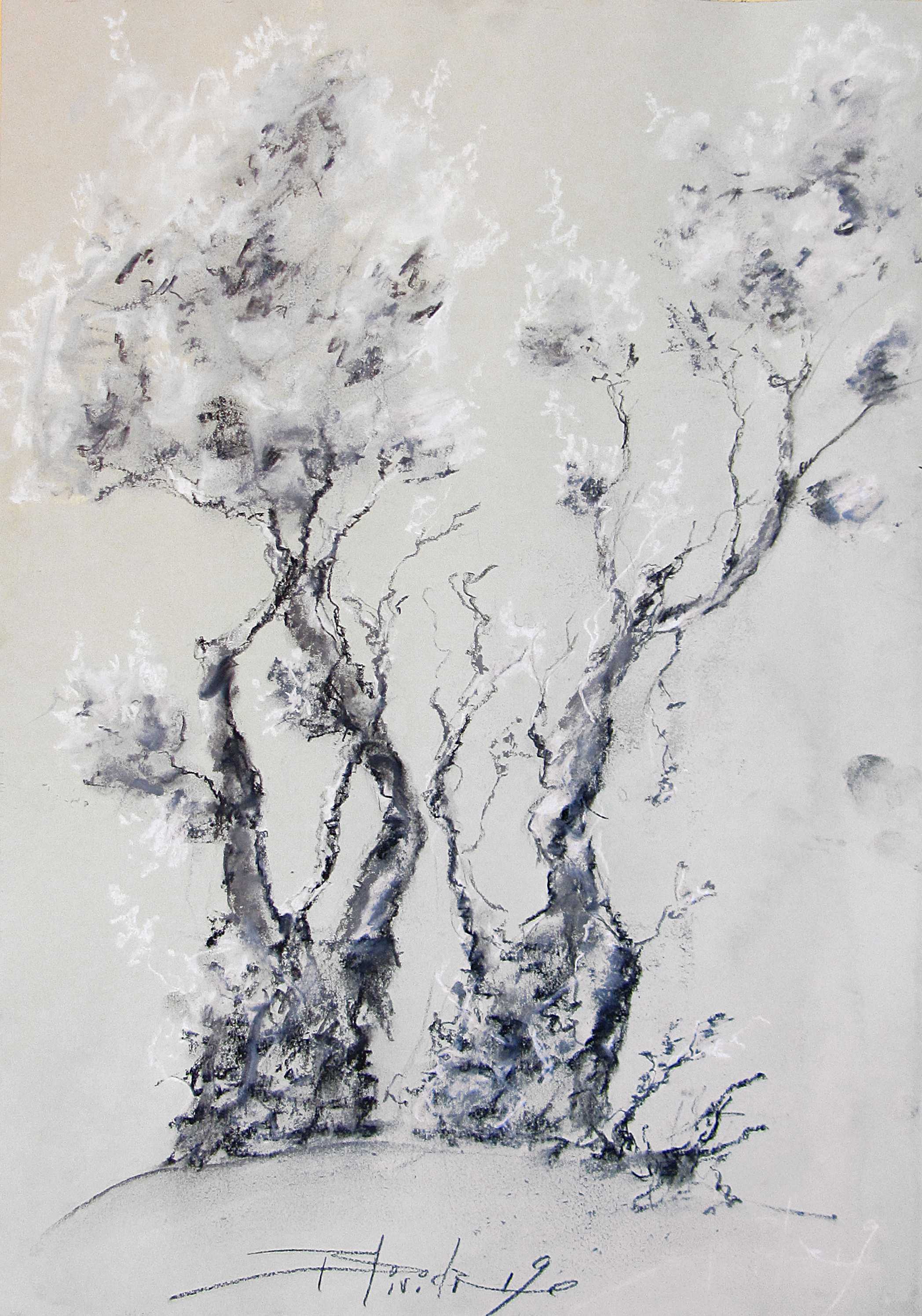 ARBRE #07