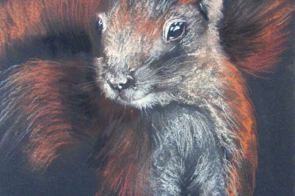 SQUIRREL, SQUIREL WHAT`S WRONG