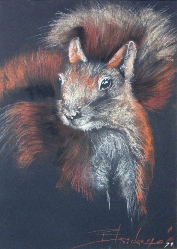 SQUIRREL, SQUIREL WHAT`S WRONG
