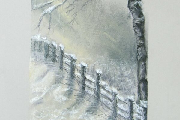 PAYSAGE #01