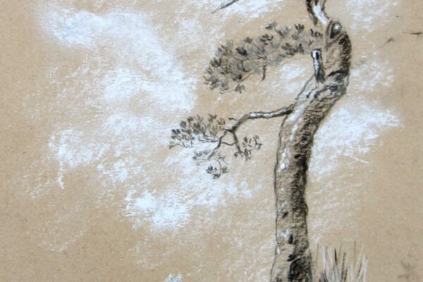PAYSAGE #07