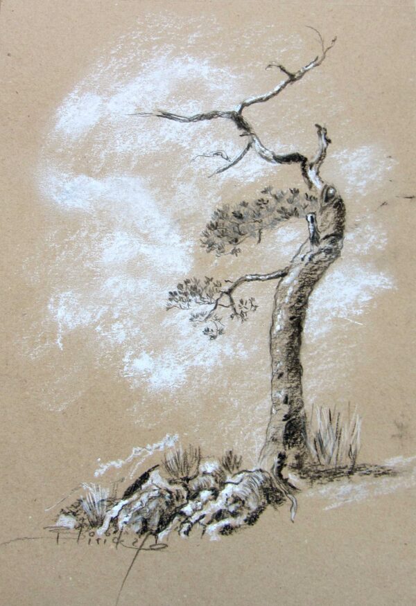 PAYSAGE #07