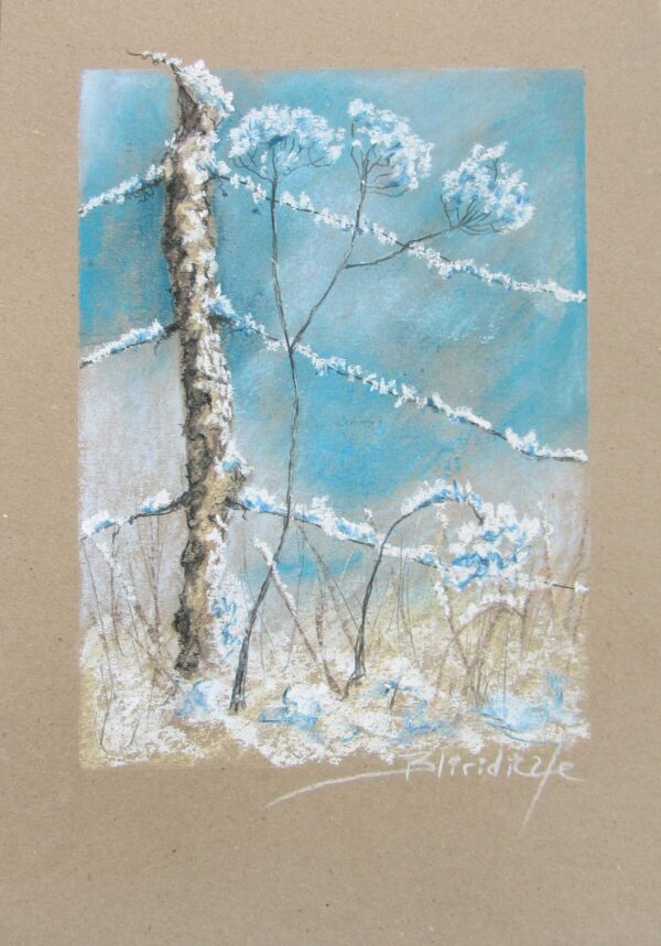 PAYSAGE #05