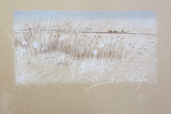 PAYSAGE #08