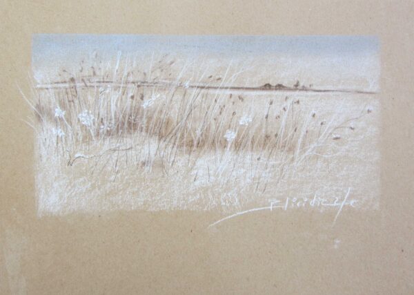 PAYSAGE #08