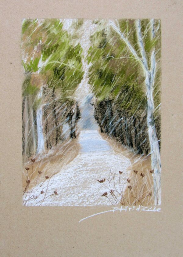 PAYSAGE #06